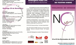 Programa de funciones 2015 tapa