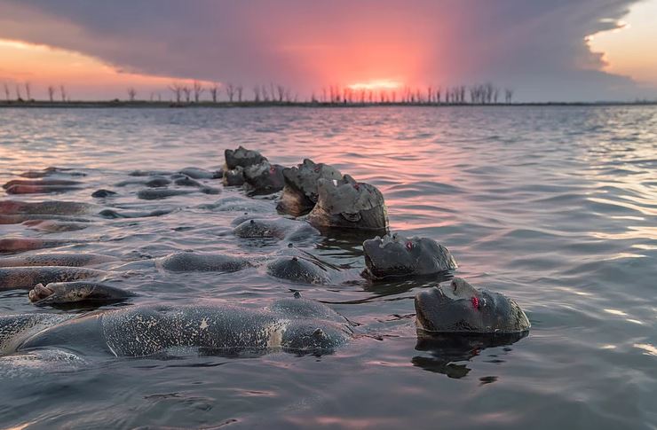 Despertar Lago Epecuén